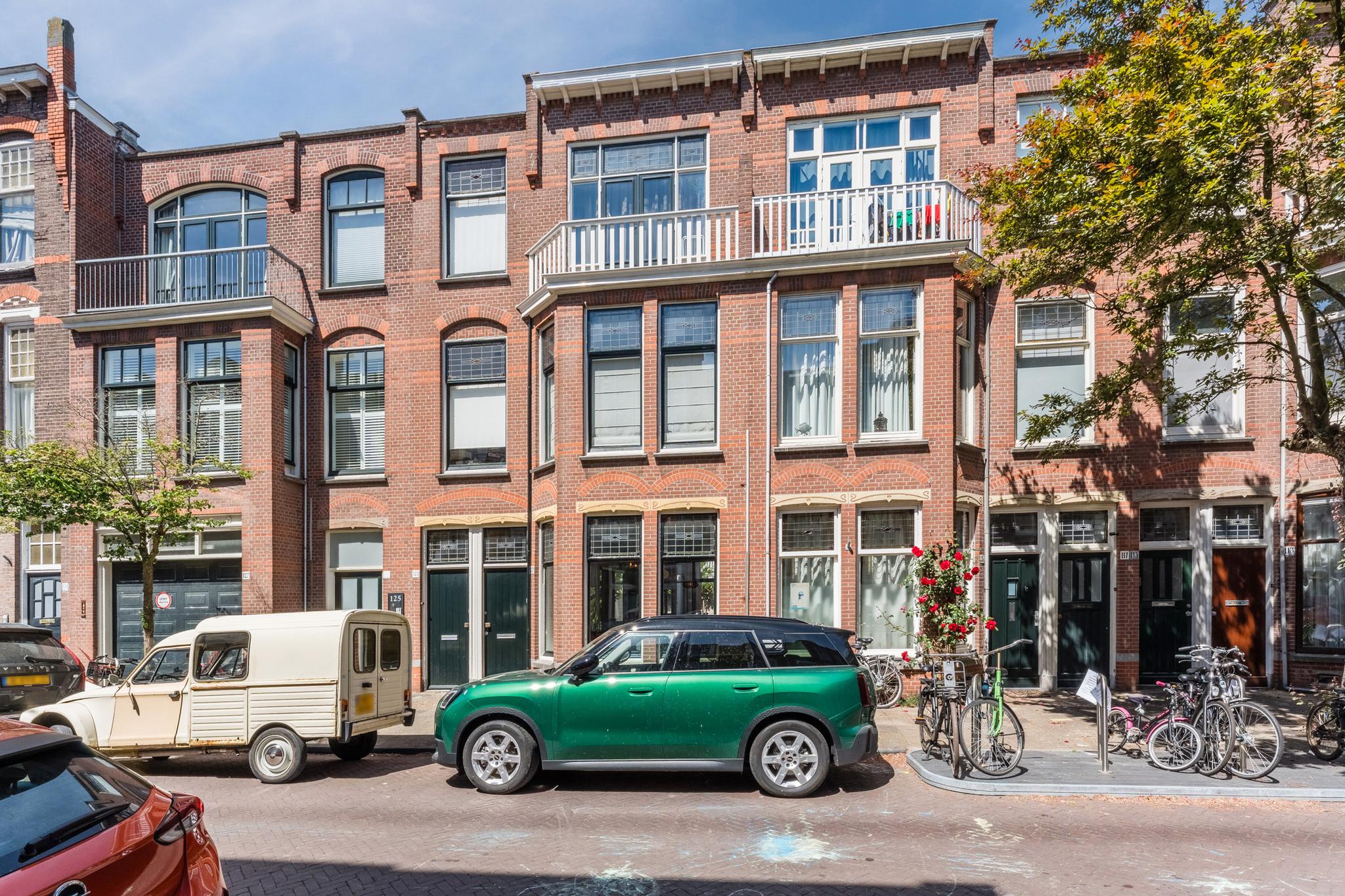 Van Loostraat 121